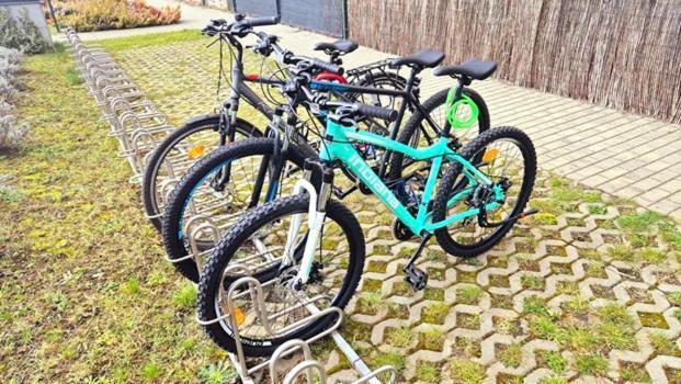 Apartament Bursztynowe *